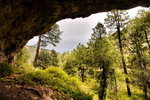 photo thumbnail #11