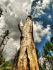 photo thumbnail #14