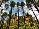 photo thumbnail #15