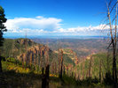 photo thumbnail #6