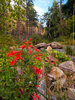 photo thumbnail #13