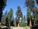 photo thumbnail #8