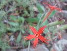 photo thumbnail #2