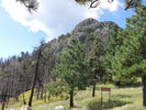 photo thumbnail #7