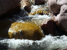 photo thumbnail #4