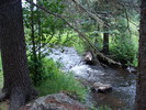 photo thumbnail #5