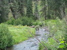 photo thumbnail #6