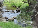 photo thumbnail #7