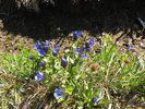 photo thumbnail #2