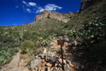 photo thumbnail #6
