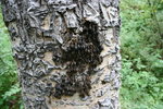 photo thumbnail #10