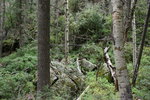 photo thumbnail #11