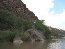 photo thumbnail #12
