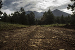 photo thumbnail #1