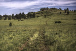 photo thumbnail #2