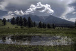 photo thumbnail #13