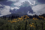 photo thumbnail #14