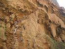 photo thumbnail #14