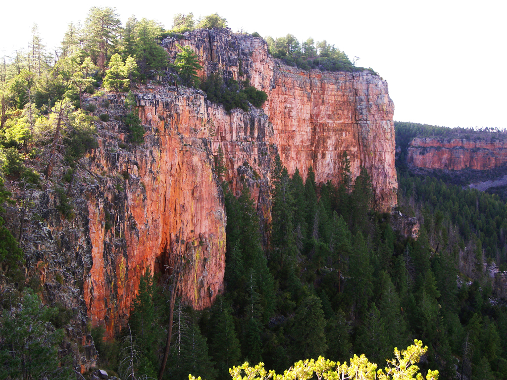 Center Mountain Trail #142, AZ | HikeArizona