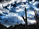 photo thumbnail #7