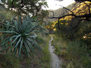 photo thumbnail #2