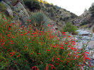 photo thumbnail #5