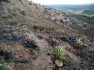 photo thumbnail #9