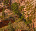 photo thumbnail #5