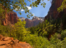 photo thumbnail #9