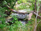photo thumbnail #3