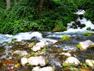 photo thumbnail #9