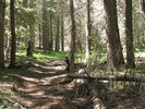 photo thumbnail #2