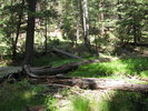 photo thumbnail #3