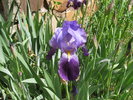 photo thumbnail #9