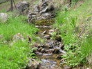photo thumbnail #15