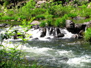 photo thumbnail #8