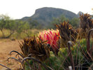photo thumbnail #3