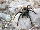 photo thumbnail #11