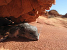 photo thumbnail #10