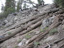 photo thumbnail #7