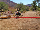 photo thumbnail #2