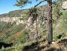 photo thumbnail #8
