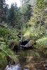 photo thumbnail #14
