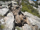 photo thumbnail #2