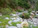 photo thumbnail #8