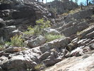 photo thumbnail #5