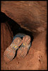 photo thumbnail #14