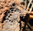 photo thumbnail #14