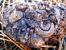 photo thumbnail #15