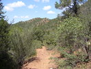 photo thumbnail #7